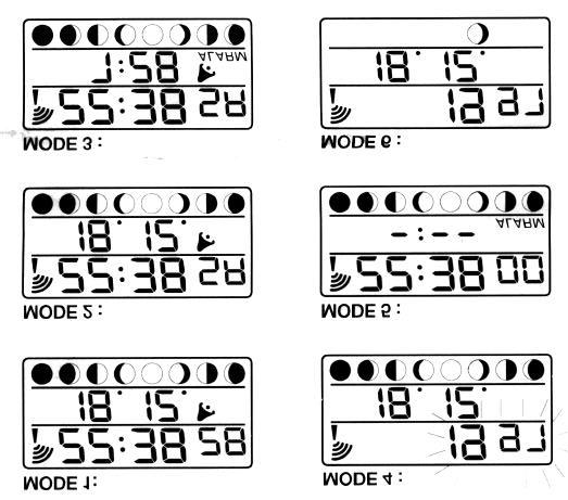 3 HUR MAN ANVÄNDER BAKGRUNDSLJUSET Tryck på ((SNOOZE)) en gång. Bakgrundsljuset kommer att lysa i fem sekunder. DISPLAY-MODES Displayen har tre avdelade fält.