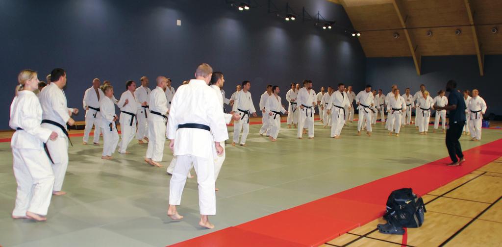 Svartbälteskurs 11 12 oktober på Bosön Inspiration från andra Årets svartbälteskurs på Bosön startade något annorlunda än vanligt. Boxningstekniker med sexfaldige SM-mästaren Babacar Kamara.
