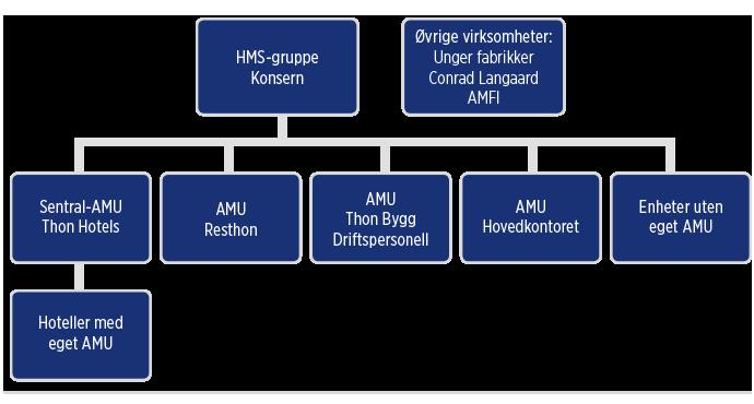 AMU-organisationen Ledningsgruppen är koncernens högsta organ för HSE-frågor. De centrala hållningarna vidareutvecklas i de olika divisionerna och enheternas arbetsmiljöutskott (AMU).