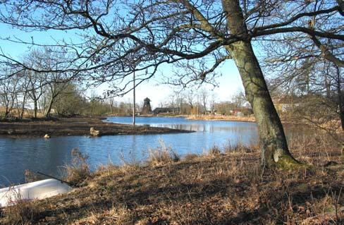 Kävlingeån 14 Vattenkontroll 23 Effekter av dammar genomförda inom Kävlingeåprojektet I det kommunala samarbetet med Kävlingeåprojektet anläggs dammar och våtmarker inom avrinningsområdet.