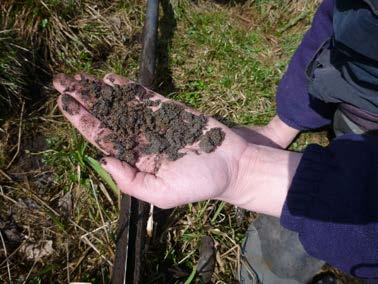 dantal samt krav på miljön. Figur 7. Fyleåns restaurering 2013. T.v. isättning av halmproppar för att förhindra transport av grumlande ämnen vid grävandet.