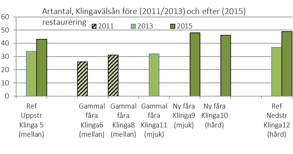 Klingavälsån Artantal Artantalen var generellt högre 2015 jämfört med 2013 (figur 9).