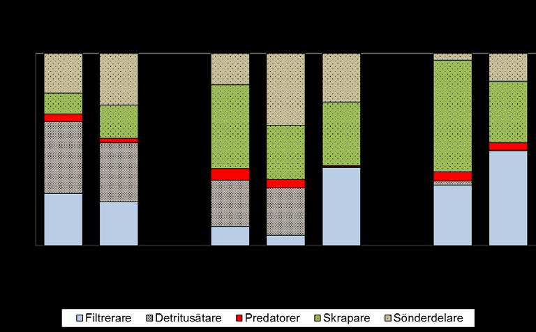 Figur 11. Bottenfaunans fördelning på funktionella grupper (födostrategi) i Klingavälsån 2013 före restaureringen och 2015 efter restaureringen.