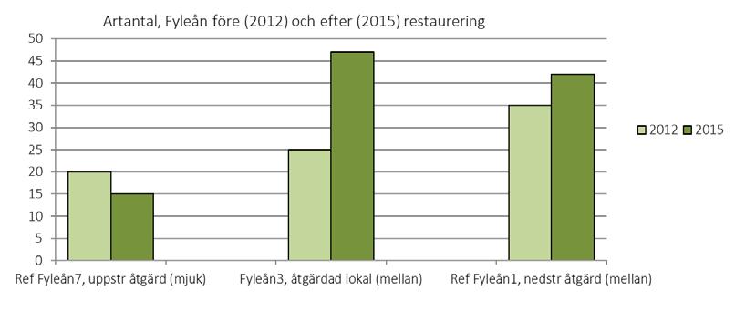 Fyleån Artantal I den restaurerade fåran lokal SKA-Fyleån3 hade artantalet ökat med ca 90 % från 25 till 47 arter efter restaureringen (figur 12).