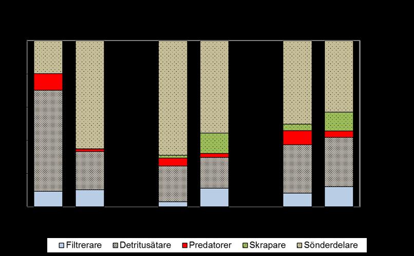 Funktionella grupper Fyleåns lokaler dominerades av sönderdelare (figur 14), där den dominerande arten sötvattensmärla ingår.
