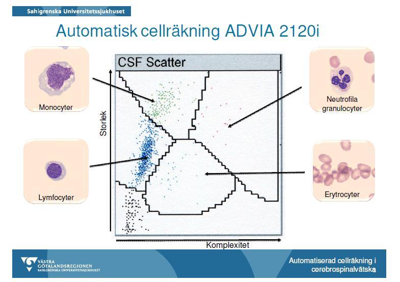CSF cytogram i förstoring Page 14