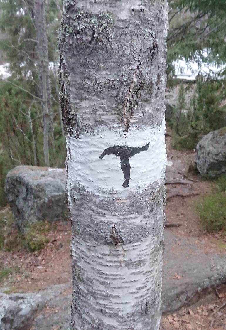 Korta fakta Stigen är cirka 1 km lång, terrängen är utmanande. Vita markeringar på träd och berghällar, ibland med ett svart Tarzan T i mitten.