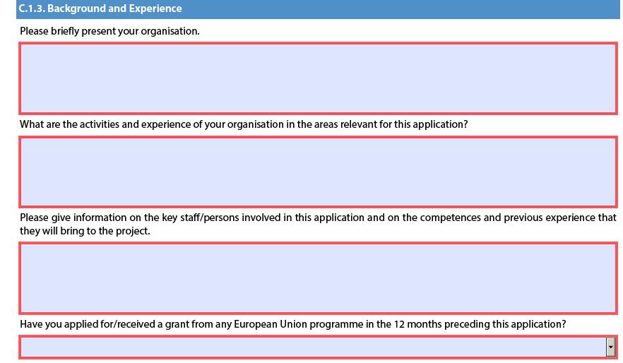 I nästa sektion, C.1.3 efterfrågas endast ansökarens erfarenheter och bakgrund.