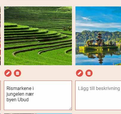 8 Underbara risodlingar längs de branta bergssidorna nära byn Ubud.