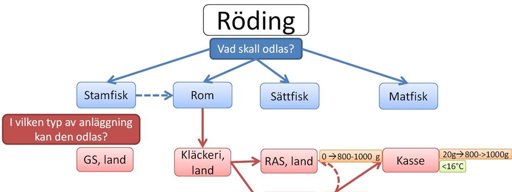 Förutom att storleken på rödingen styr vilken odlingsteknik som är lämplig, har de olika teknikerna även olika krav på omgivningsfaktorer för att kunna användas.