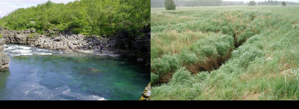 Test av olika naturgeografiska indelningar av sjöar och vattendrag till Sveriges vattenmiljö Hur kan