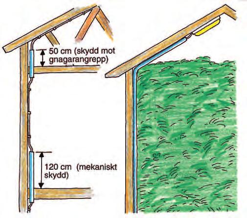 Bild 6. Vid genomgångar i bjälklag i utrymmen där det finns risk för råttangrepp ska kablarna skyddas minst 50 cm över den horisontella ytan. Mekaniska skydd bör sträcka sig minst 120 cm över golvet.