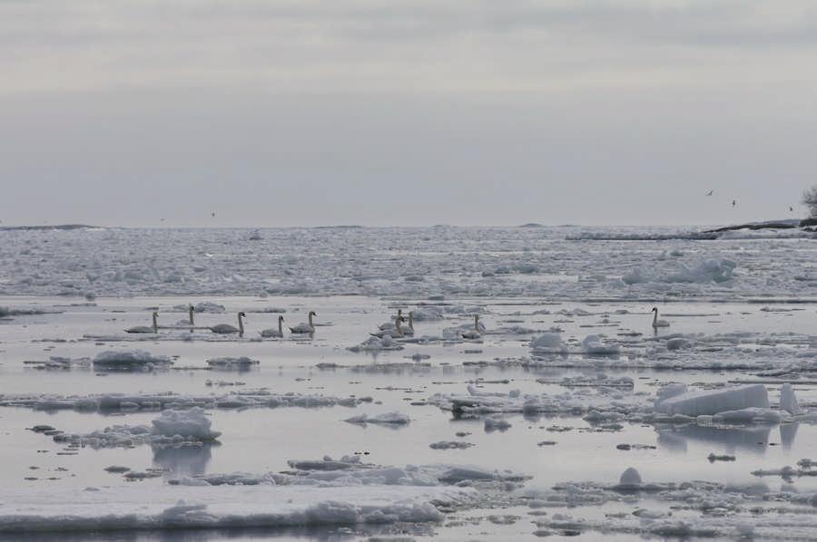 naturreservat, naturminnen och