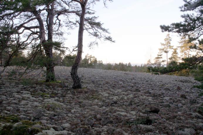 Sandskär (Hellsö) Översyn har utförts av på orten bosatt tillsyningsman enligt särskilda direktiv.