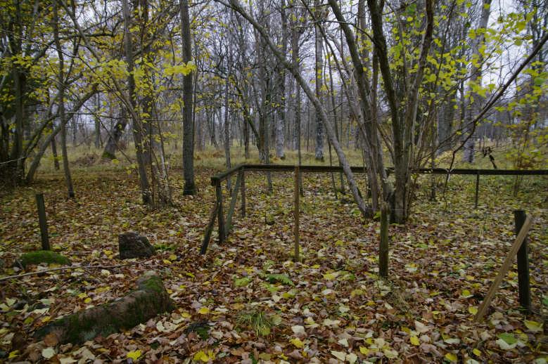 Stängseldragningar som delar in kulturmarkerna har stor betydelse för att betesgången ska fungera som komplement till övrig skötsel. På Herrö renoverades och justerades vissa stängsel.