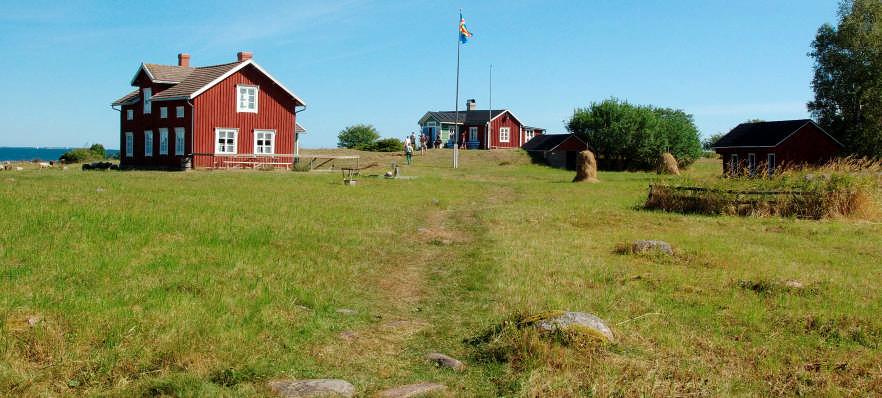 Björkör.