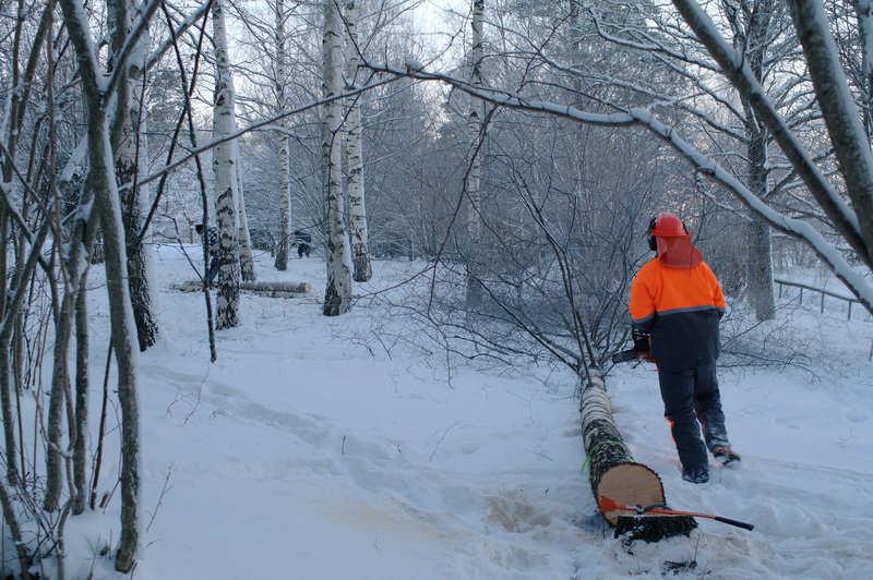 Prästgårdsnäset Översyn av stängsel och skyltar.