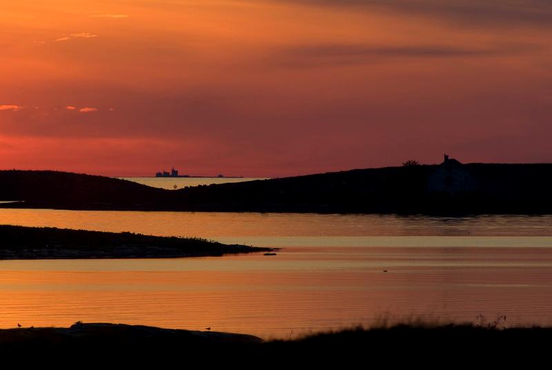 Signilskär Märket Informationsskylt uppsattes vid hamnen och översyn av andra skyltar företogs.