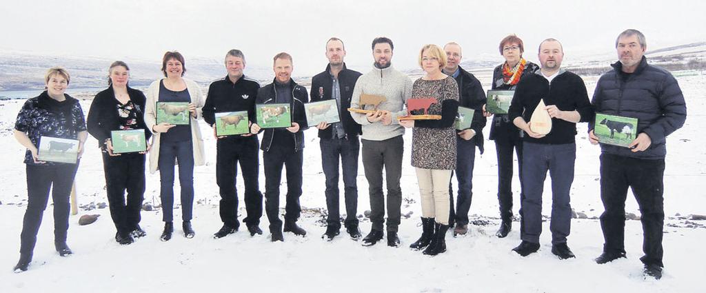 Í dómseinkunn gerir það að meðaltali 82,3 stig. Miðað við næstu árganga á undan er um að ræða lítils háttar lækkun á aðaleinkunn sem fyrst og fremst stafar af nákvæmari dómum á mjöltum.