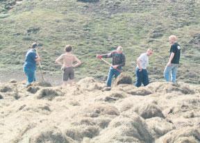 Steininn tók úr þegar ég frétti að landgræðslustjóri hefði hellt heiftaráróðri gegn þessum Eyfellingum yfir fólkið í félagi eldri borgara í Biskupstungum. Þar sem hann var gestur.