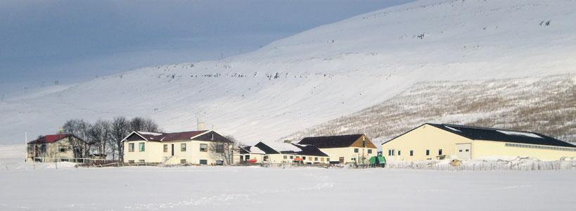 48 Bændablaðið Fimmtudagur 26. febrúar 2015 Líf og lyst BÆRINN OKKAR Haustið 2003 tekur Hákon við kindunum af systur sinni og á þá hluta af fénu á móti foreldrum sínum.