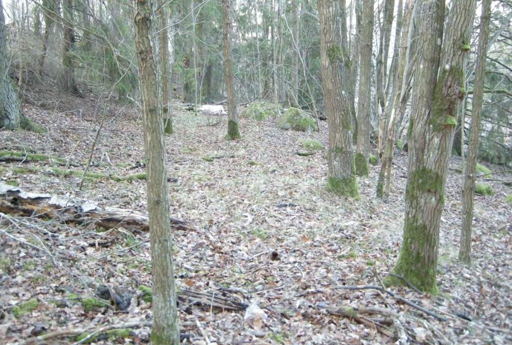 Utredningsresultat Vid inventeringen anträffades en stensyllsgrund (Täby 616) som kan knytas till en bebyggelse från 1900-talets första hälft (Ählström 2012).