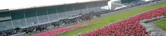 hristoffer,,,,,8, J 8-8-8 8 -- Eriksson Kim,,,8, MP 8-- 8-88- Ferraane Franeso lä J -- -- Frik Anja a J -- 8 -- Grannd Joakim lä 8, HD -- 8 -- 8 Günther Palle J -- -8-8 Halme Hna lä Å -- -- Heiskan