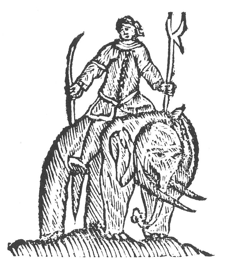 Elefantupploppet i Skänninge 1804 Den första riktiga elefanten kom till Sverige år 1804.
