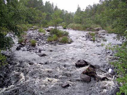 Pauliströmsån, Venshult 24-8-3 Bedömning enligt Naturvårdsverkets bedömningsgrunder Parameter Värde Värdet är: Avvikelsen är: Antal arter 3 högt ingen el. obet. Tot.