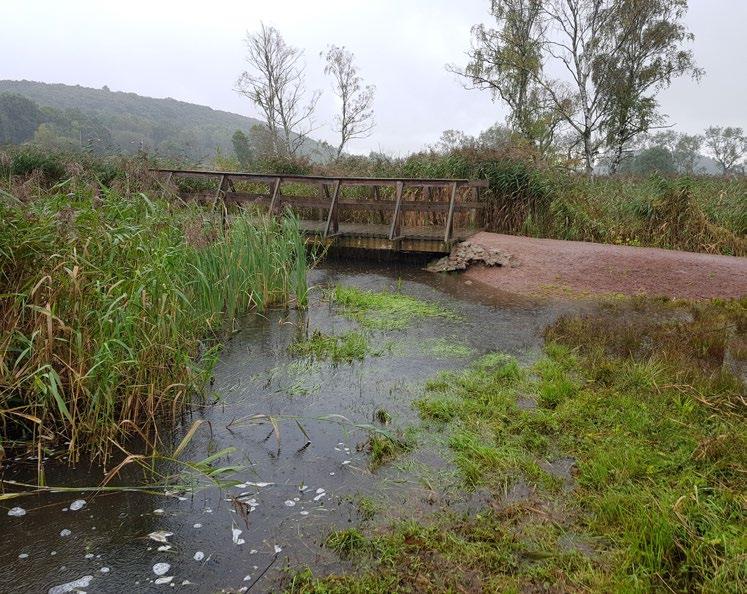 Bottenfauna undersökningar av