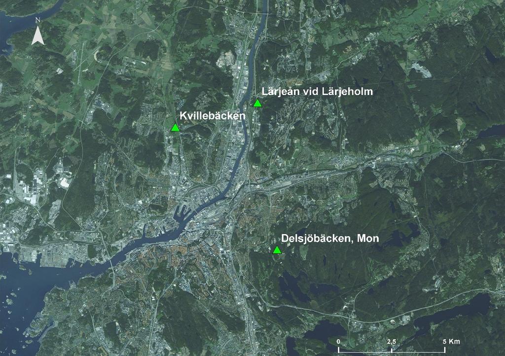 Metod Provtagning av bottenfauna gjordes två gånger, först den 16 oktober och sedan den 1 november, på grund av att samtliga prov från första provtagningen förstördes under frakt.