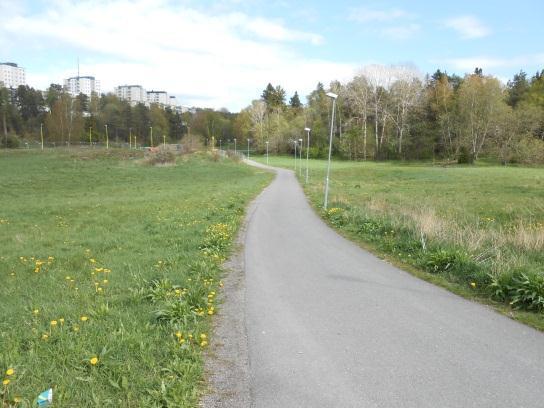 Gång- och cykelvägar Rakt genom området går ett asfalterat gång- och cykelstråk från Kyttingevägen till Näset. En promenadstig går längs paviljongens gård vid östra delen av ängen längs skogsbrynet.