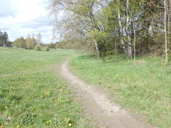 Området kring förskolan ska utformas så att säkra skolvägar kan anordnas. Promenadstigen genom planområdet behöver dras om. Detta kommer att studeras vidare under planprocessen.