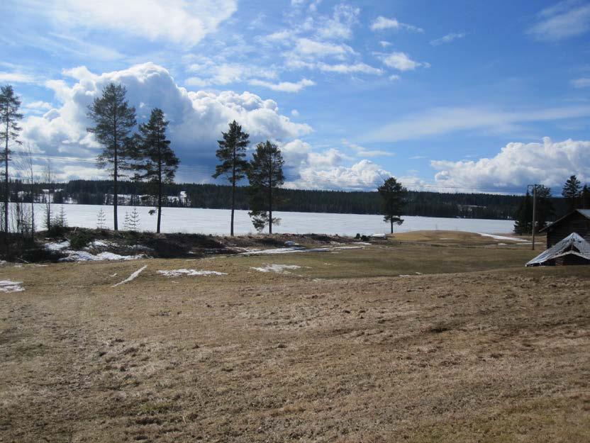 nämnden beviljar strandskyddsdispens enligt