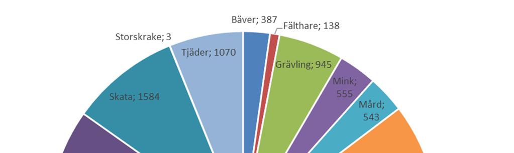 Jaktens mångfald inom Gävleborgs län Inom Gävleborgs län fälls årligen en stor mängd olika viltarter.