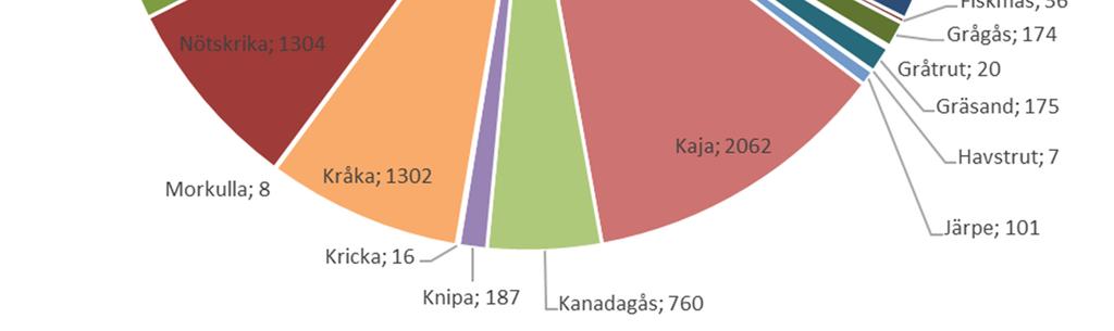 arten i fråga. När det kommer till vilt förutom klövvilt så är det framförallt fågel som fälls.