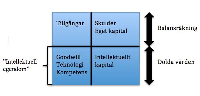 de är långfristiga och svåra att värdera innan en försäljning av tillgången eller företaget sker (Edvinsson & Malone, 1997).