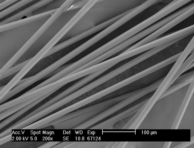 Lignin melt extrusion - major technical challenges Volatiles Lignin filament handling/brittle