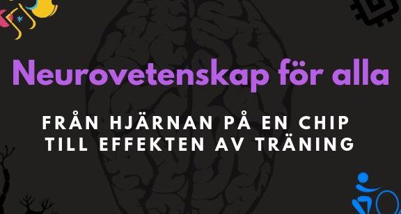 PÅ BIBLIOTEKET KOM NÄRMARE HJÄRNAN - EN SERIE FÖR Effekten av träning på hjärnan Maria Lindskog Måndag den 28/1 kl. 18.00-19.