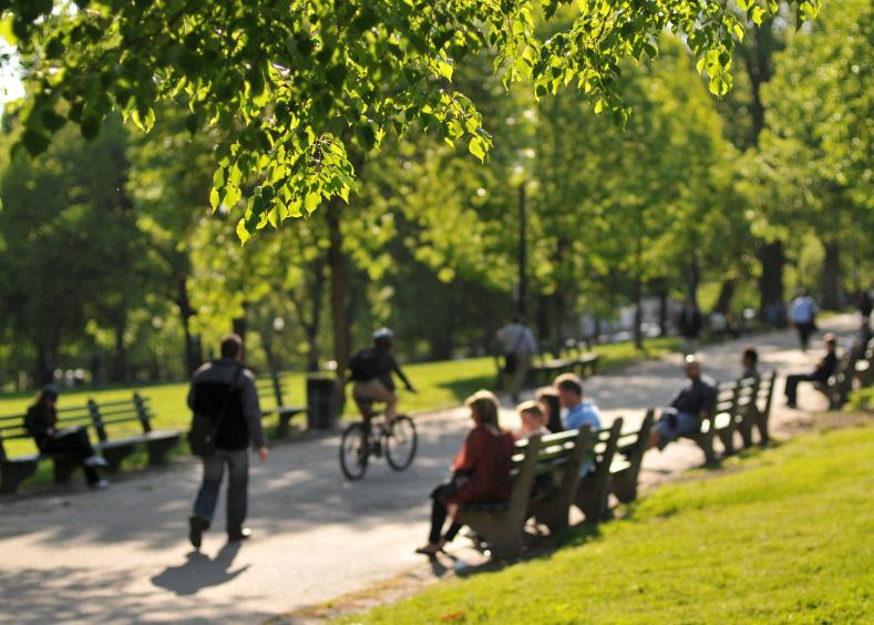 Skola och förskola placeras mitt i byn, på väg till stationen eller affären.