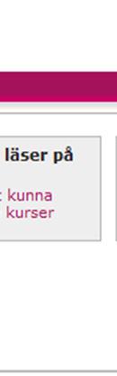 ettt program från Örebro