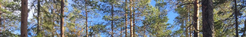 Belägenhet Hägnåsen :2 utgörs av tre obebyggda skogsmarksskiften.