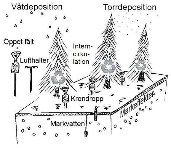 Övervakning av luftföroreningar i Kronobergs län. Resultat hydrologiskt år /9 resp. kalenderår.