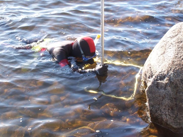 vattendrag Fisk: nätprovfiske i sjöar Bottenfauna Nyckelbiotoper i vattenmiljöer Vattenväxter i sjöar Fåglar i stora