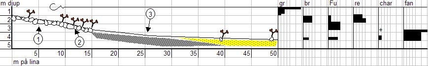 I profilens början väer rödalgerna Ceramium/Polysiphonia och brunslick (Pilayella littoralis) med 25 % täckningsgrad vardera.