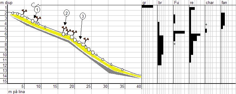Kalvhararna Lokal 5 Datum: 2006-08-02 X 6775483 Y 1578410 Riktning: 206/400 Siktdjup: 6,0 m Salinitet: 4,7 Tillståndsklass: 1 Profilen börjar vid ett stort block på sydsidan av Leskärsrabben.