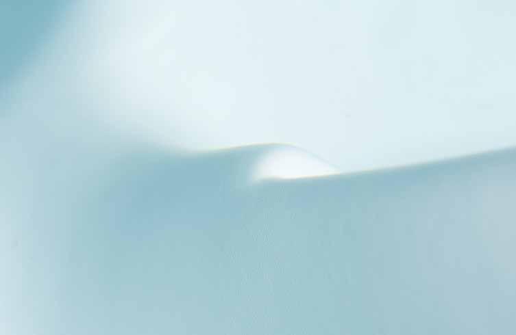 Spabad vattenvård Specialprodukter 4538001 DELPHIN SPA Gentle Clarifier Klarnar vattnet genom att flocka ut småpartiklar i vattnet. Speciellt lämpad för patronfilter.