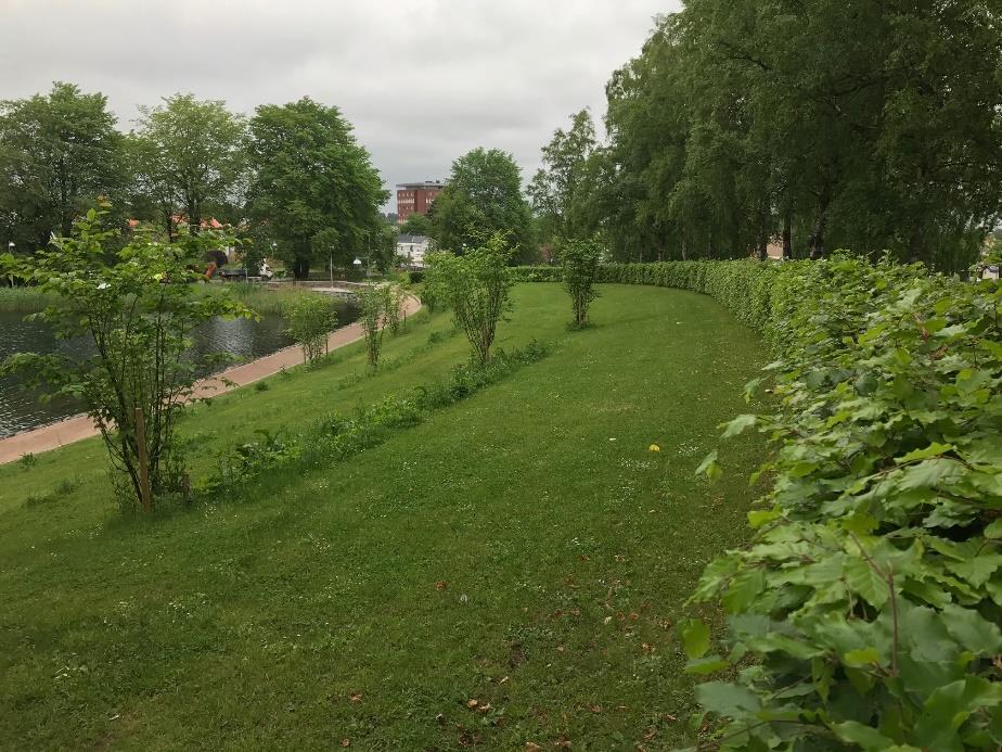 Nrra Ekedal, Nybyggnad flerbstadshus, Skövde kmmun P Geteknik 170622 4 ARKFÖRÅANDEN arken inm mrådet utgörs huvudsakligen av parkmark ch delvis av en parkering.