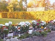 Några dagars värme och sol vill vi ha på vår semester, men inte så varmt och torrt i skog och mark att minsta lilla gnista riskerar att sätta eld på naturen.