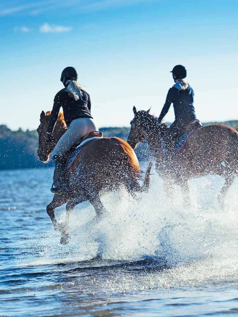 RIDSPORT